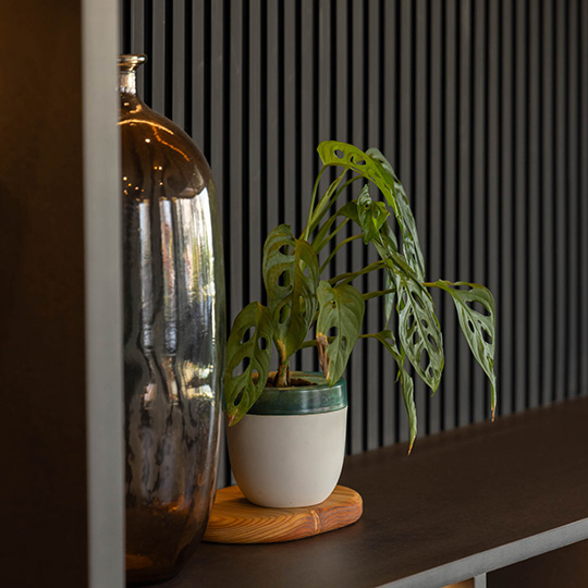 landed – evergreen avenue